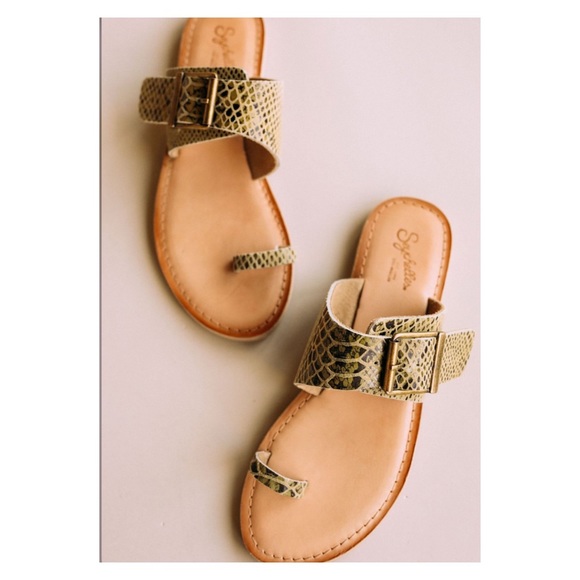 Seychelles Shoes - seychelles honorable mention sandal exotic beige